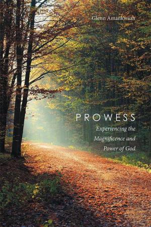 Cover of the book Prowess by Sindy Wakeham