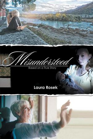 Cover of the book Misunderstood by Clive Hopkins