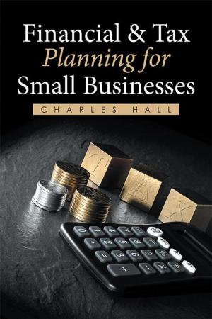 Cover of the book Financial & Tax Planning for Small Businesses by Dennis Arekpita Ogirri