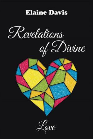 Cover of the book Revelations of Divine Love by Michele Alanis