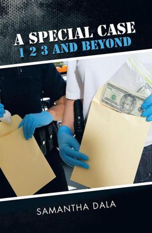 Book cover of A Special Case 1 2 3 and Beyond