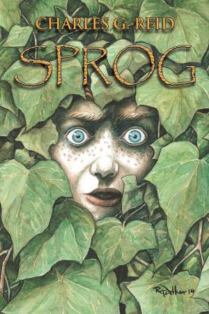 bigCover of the book Sprog by 