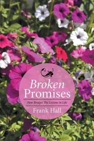 Cover of the book Broken Promises: New Bridges the Lessons in Life by J.N. Sadler