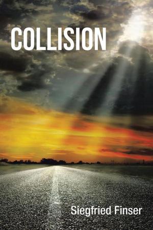 Cover of the book Collision by Anita Dickason