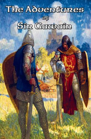 Book cover of The Adventures of Sir Gawain