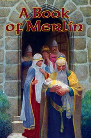 Cover of the book A Book of Merlin by L. Frank Baum
