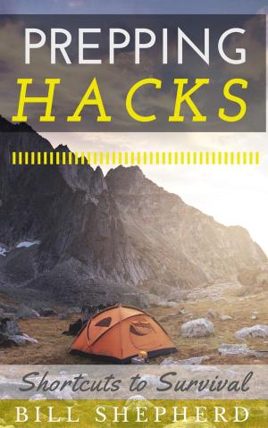 Cover of the book Prepping Hacks: Shortcuts to Survival by Michael Lund