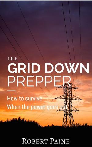 Cover of the book The Grid Down Prepper: How to survive when the power goes out by Robert Paine