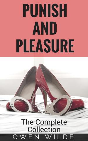 Book cover of Punish and Pleasure: The Complete Collection