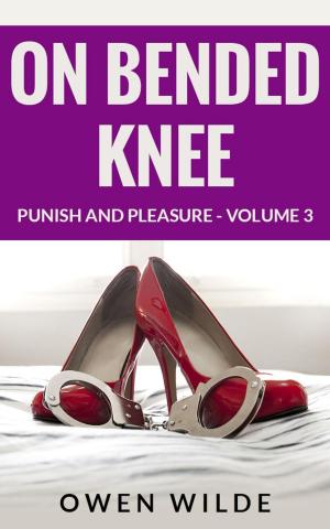 Book cover of On Bended Knee (Punish and Pleasure - Volume 3)