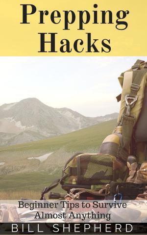 Cover of the book Prepping Hacks: Beginner Tips to Survive Almost Anything by John Noonan