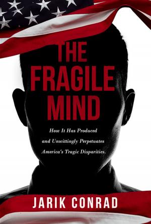 Cover of the book The Fragile Mind by Bri Noreen