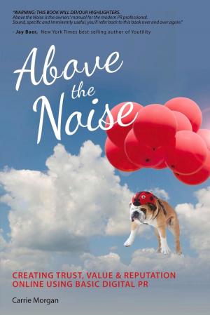 Cover of the book Above the Noise by Keld Jensen