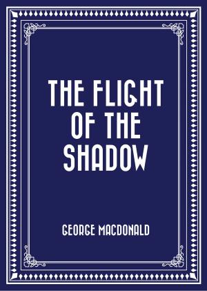 bigCover of the book The Flight of the Shadow by 