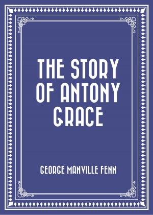 Cover of the book The Story of Antony Grace by José Braz Pereira da Cruz