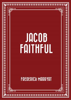 Cover of the book Jacob Faithful by Paul Boldt