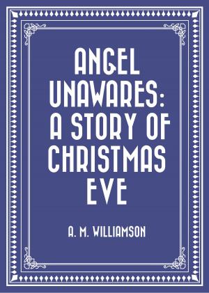 Cover of the book Angel Unawares: A Story of Christmas Eve by William Satchell