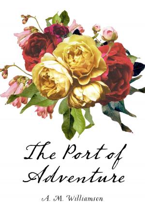 Cover of the book The Port of Adventure by Edgar Allan Poe