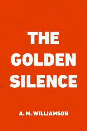 Cover of the book The Golden Silence by JR Thomas