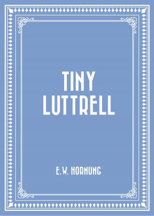 Cover of the book Tiny Luttrell by Elsie Spicer Eells