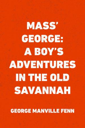 Book cover of Mass' George: A Boy's Adventures in the Old Savannah