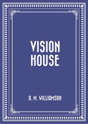 Cover of the book Vision House by Carolyn Wells