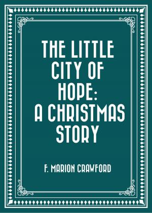 Book cover of The Little City of Hope: A Christmas Story