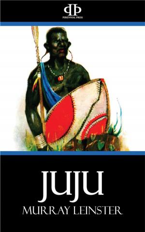 Cover of the book Juju by Fred Robel
