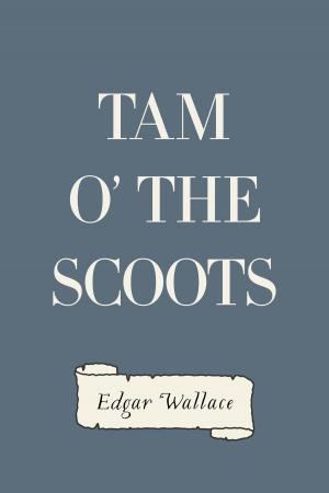 Cover of the book Tam o' the Scoots by Danelle Harmon