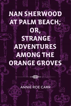 Book cover of Nan Sherwood at Palm Beach; Or, Strange Adventures Among The Orange Groves