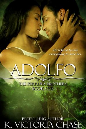 Cover of the book Adolfo by C. M. Boers