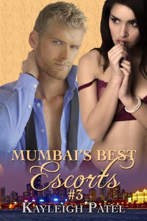 Cover of Mumbai’s Best Escorts Book Three