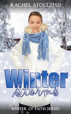 Cover of the book Winter Storms by Rebecca Price