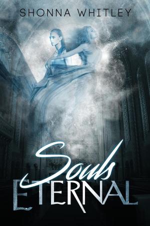 Cover of the book Souls Eternal by Frank Hopkins