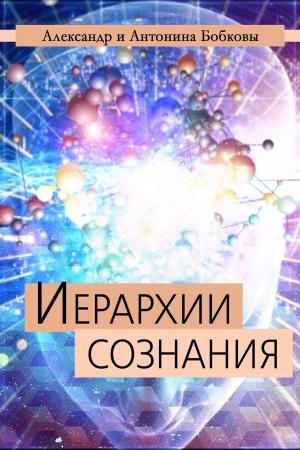 Book cover of Иерархии сознания