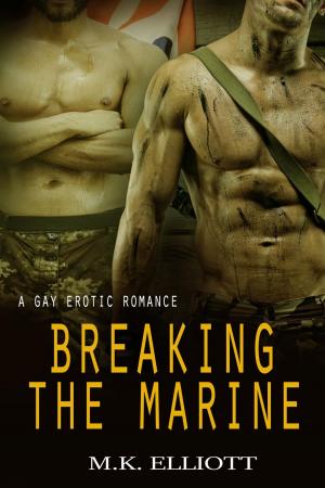 Cover of the book Breaking The Marine (A Gay Erotic Romance) by Marissa Farrar, Michelle Fox