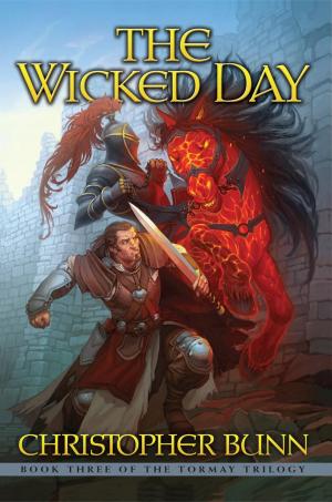 Cover of the book The Wicked Day by K. M. Plum