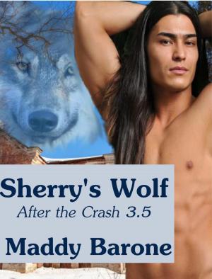 Cover of the book Sherry's Wolf (After the Crash 3.5) by M.A. Costa Sr