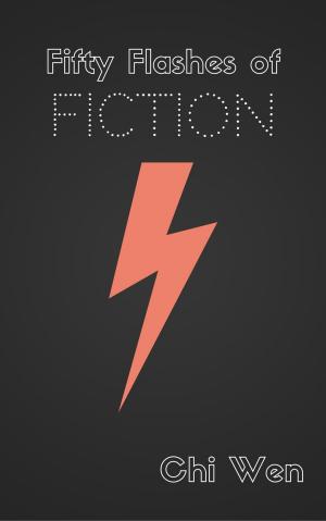 Cover of the book Fifty Flashes of Fiction by Ruthanne Reid