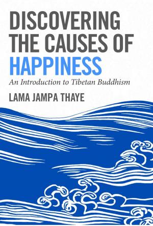 Cover of the book Discovering the Causes of Happiness by William Martin