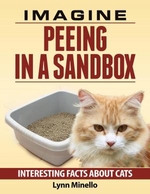 Cover of the book Imagine Peeing in a Sandbox - Interesting Facts about Cats by John Burnam
