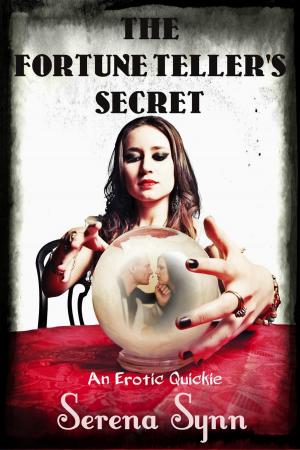 Book cover of The Fortune Teller's Secret