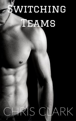 Cover of the book Switching Teams by Tatjana Blue
