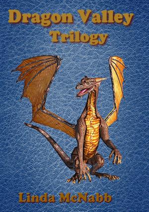 Book cover of Dragon Valley Trilogy