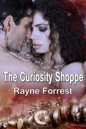 Book cover of The Curiosity Shoppe