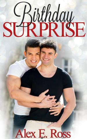 Cover of the book Birthday Surprise by Jane Somerset