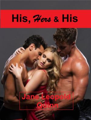 Cover of the book His, Hers & His by Jane Leopold Quinn