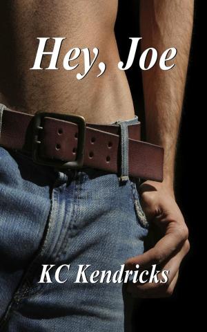 bigCover of the book Hey, Joe by 