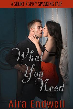 Cover of the book What You Need by Meg Cooper