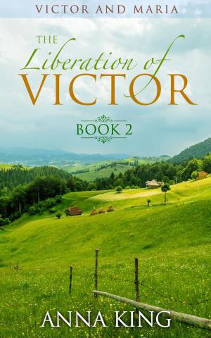 Cover of the book The Liberation of Victor by Lucy Limerick